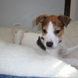 Meet your Posher, Kristin